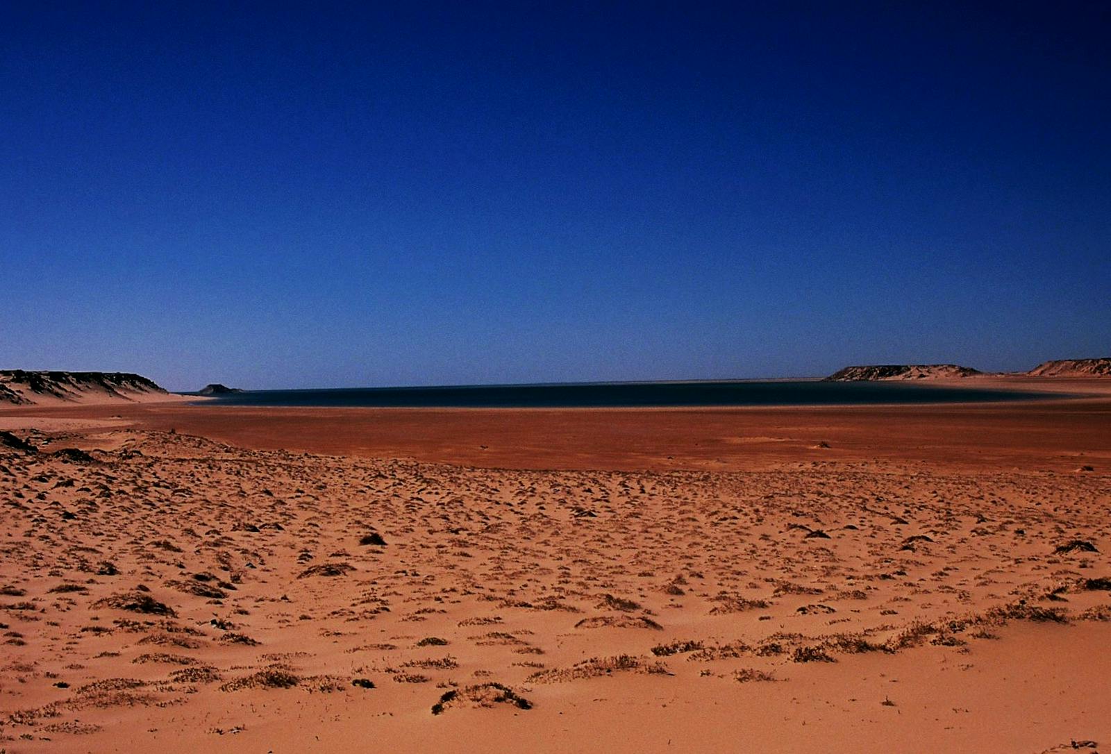 Saharan Atlantic Coastal Desert One Earth